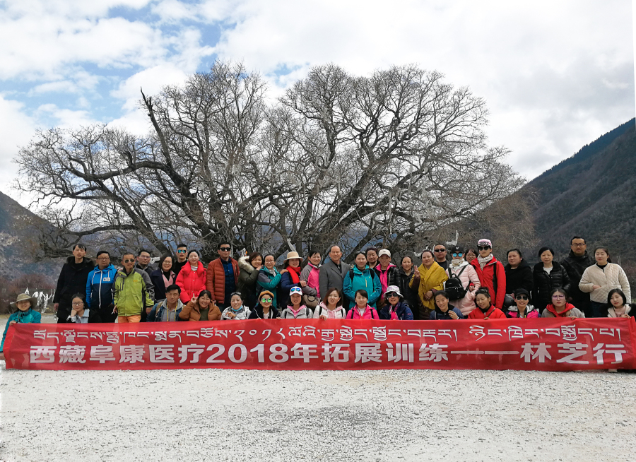 西藏阜康醫(yī)療2018年拓展訓(xùn)練——增強(qiáng)團(tuán)隊(duì)凝聚力、提升團(tuán)隊(duì)協(xié)作能力，更好地為患者服務(wù)